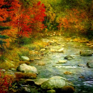 fall stream with forest